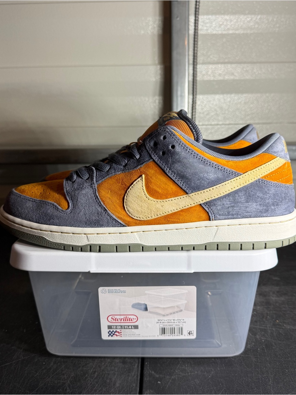 Size 13 - Nike Dunk SB Low Light Carbon Monarch